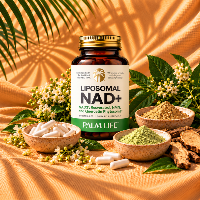 Liposomal NAD+